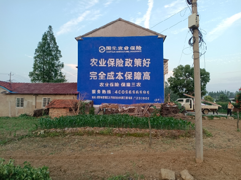 兴平墙体广告的优劣势你知道吗？